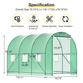 Phonjoroo walk-in greenhouse interior offers ample space for plants.