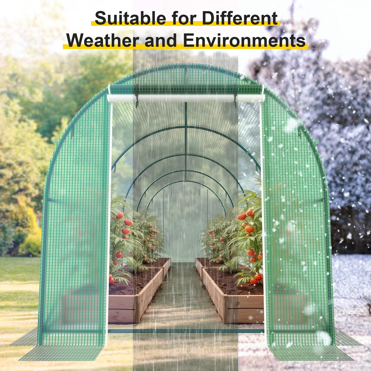 Phonjoroo Greenhouse walk-in space offers generous room for shelves and mature plants
