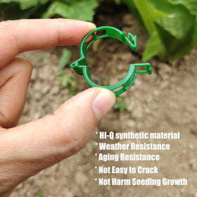 Phueglado grape vine clips support climbing vines on garden netting.