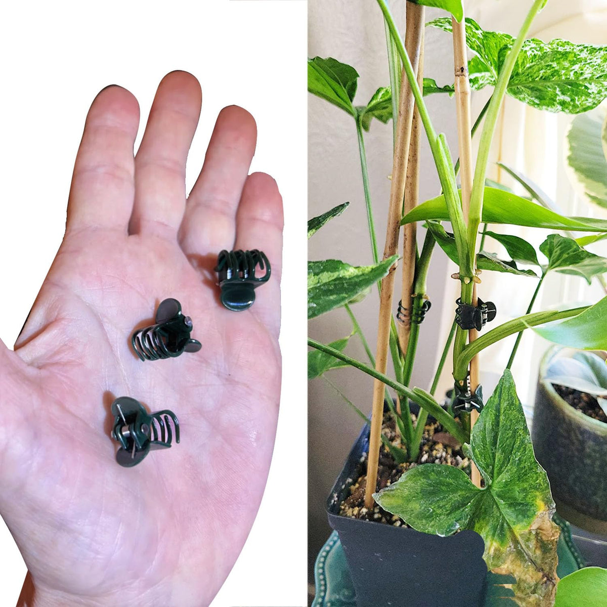 Phueglado tomato support clips prevent slippage and save space