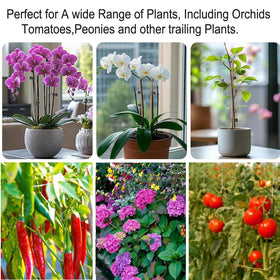 Phueglado vine clips provide light hold for climbing plants