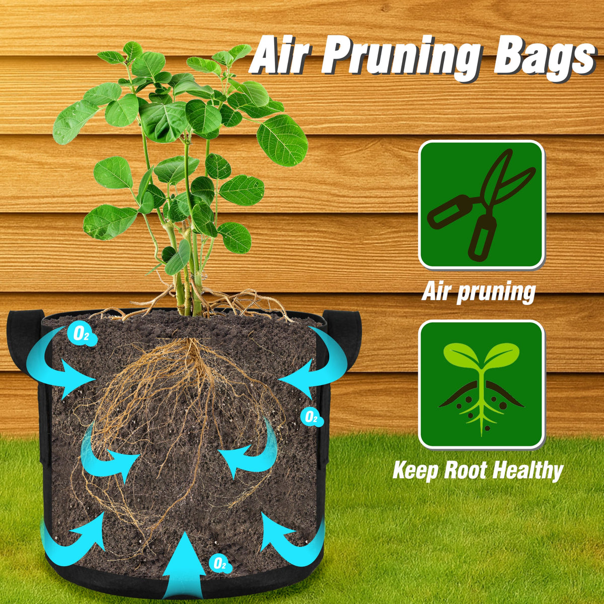 PHYEX 1-gallon grow bags measure 7.8 diameter by 5.9 inches, ideal for small-space gardens.