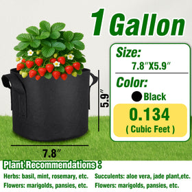 PHYEX 12-pack breathable fabric grow bags improve root oxygenation for healthier growth.