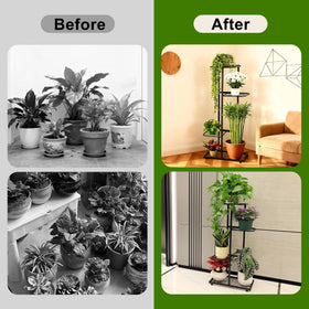 Phyluckny display stand for plants used as a decorative indoor/outdoor feature