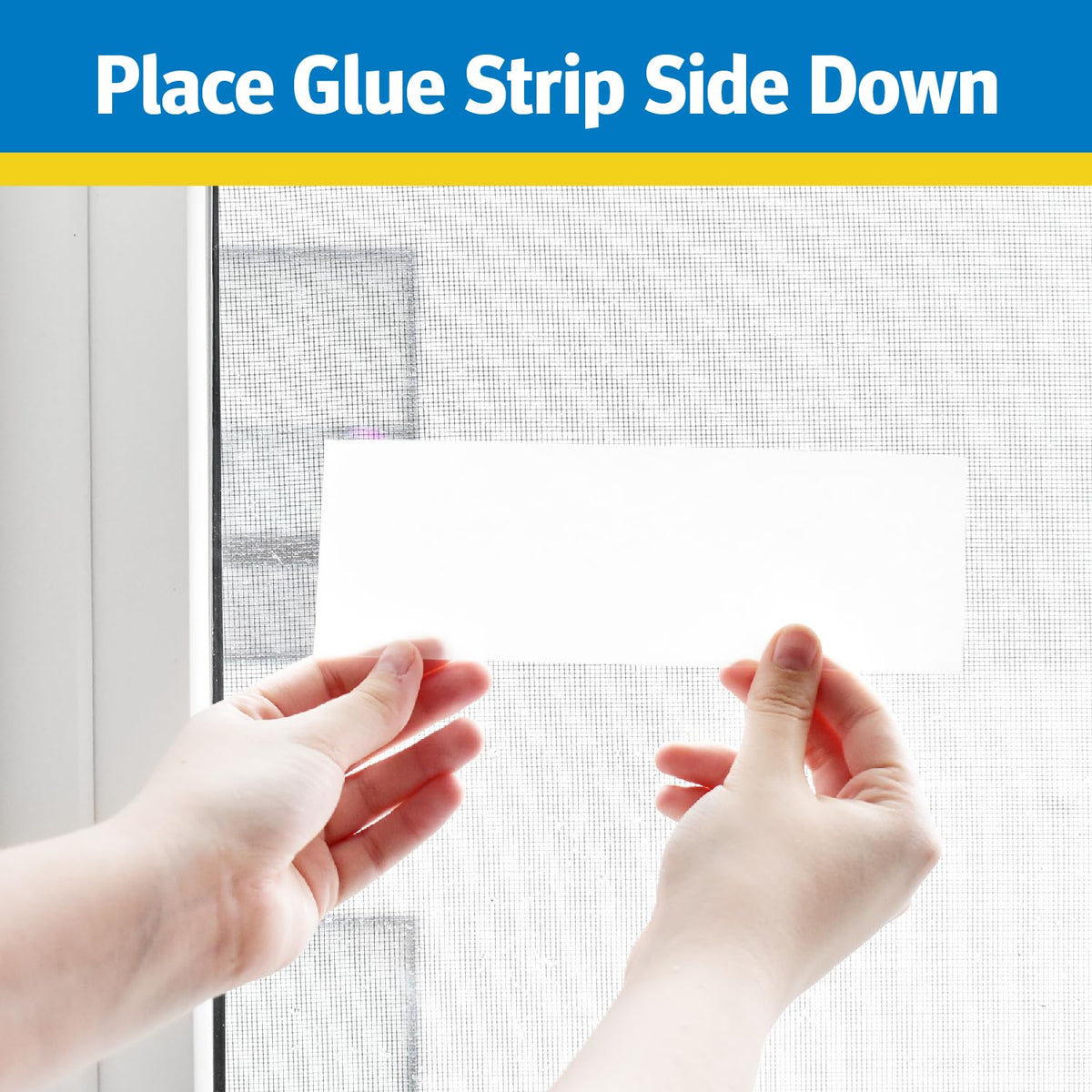 PIC Raid Window Fly Trap hung on door frame provides entry protection