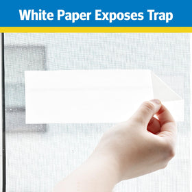 PIC Raid Window Fly Trap packaging display shows four traps