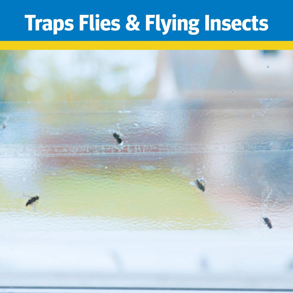 PIC Raid Window Fly Trap 4-pack rear view shows compact packaging