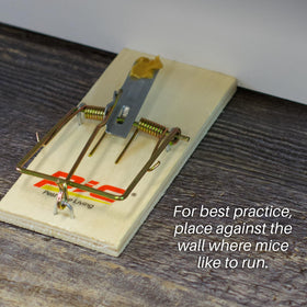 PIC Wood Mouse Traps suited for outdoor spaces like sheds and barns.
