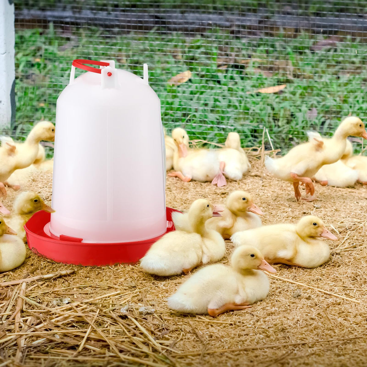 Pickmesh automatic gravity waterer supports steady water supply for poultry.