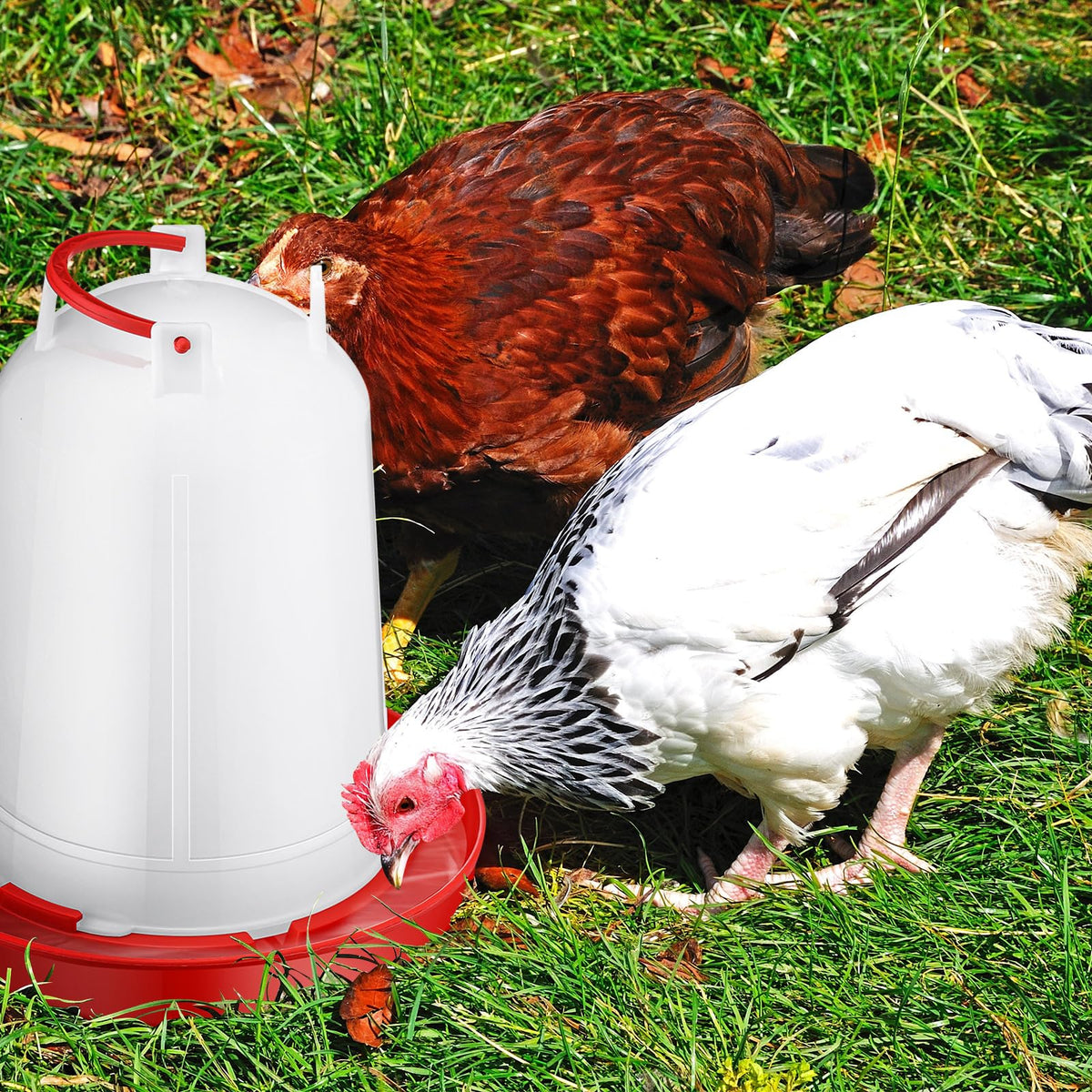 Pickmesh poultry waterer cleaning-friendly design minimizes litter entry.