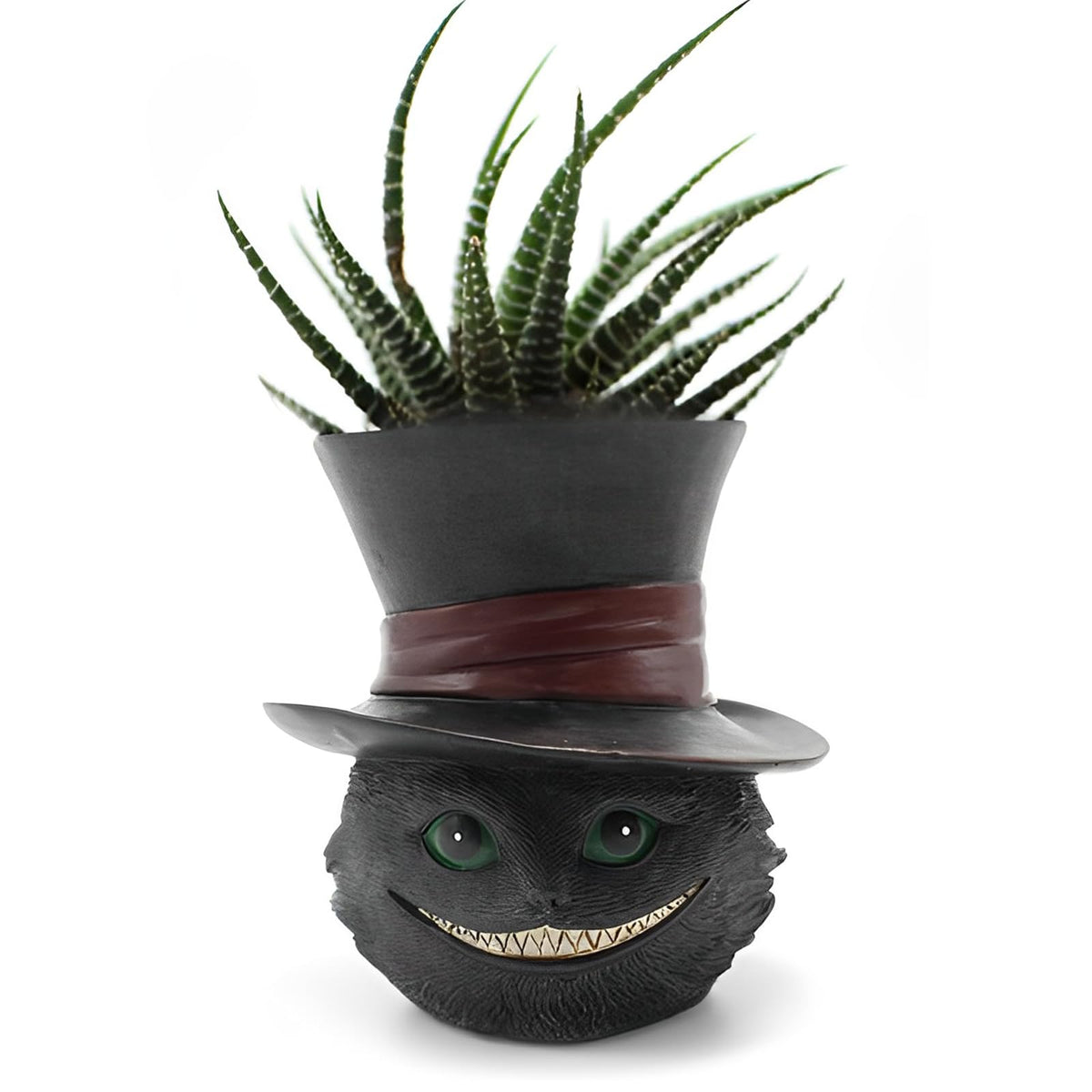 Picvelno black cat head planter with drainage hole, ideal for succulents.