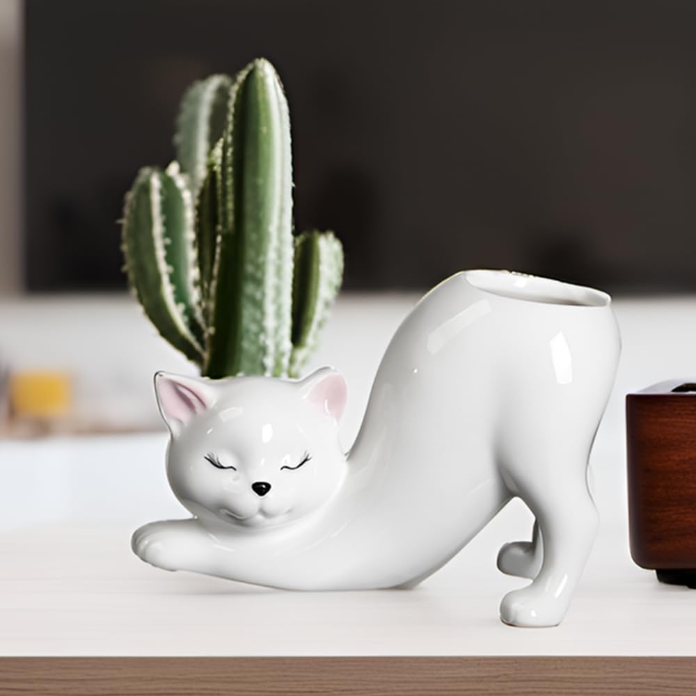 Picvelno cat kitty planter on windowsill ideal for succulents.