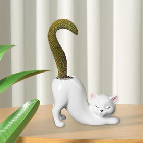 Picvelno colorful kitty planter suits balcony, kitchen, and office.