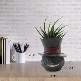 Picvelno desk decor planter keeps plants healthy with bottom drainage.