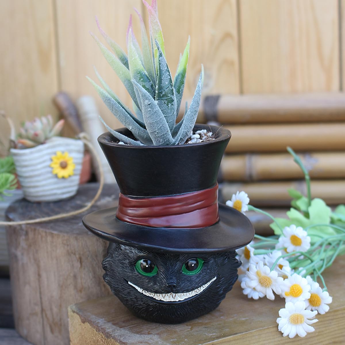 Picvelno gift-ready kitty planter perfect for plant lovers.