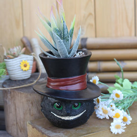 Picvelno gift-ready kitty planter perfect for plant lovers.