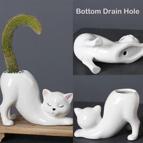 Picvelno kitty planter on desk adds charming decor.