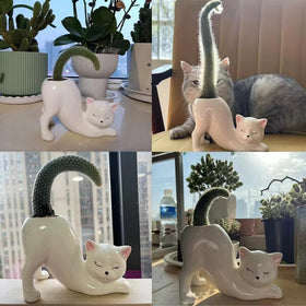 Picvelno mini ceramic bonsai pot enhances indoor spaces.