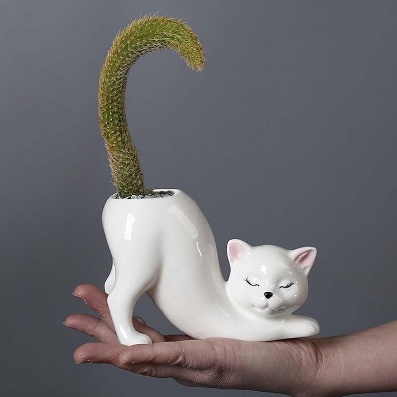 Picvelno tailless cat planter closeup with drainage hole for healthy plants.