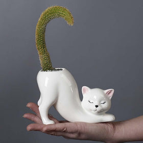 Picvelno tailless cat planter closeup with drainage hole for healthy plants.