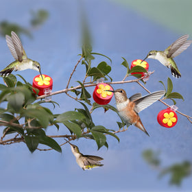 PiiSheou portable gift hummingbird feeder is a thoughtful present for garden lovers.