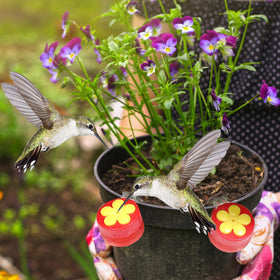 PiiSheou red-lid hummingbird feeder draws attention from a distance with vibrant garden-friendly color.