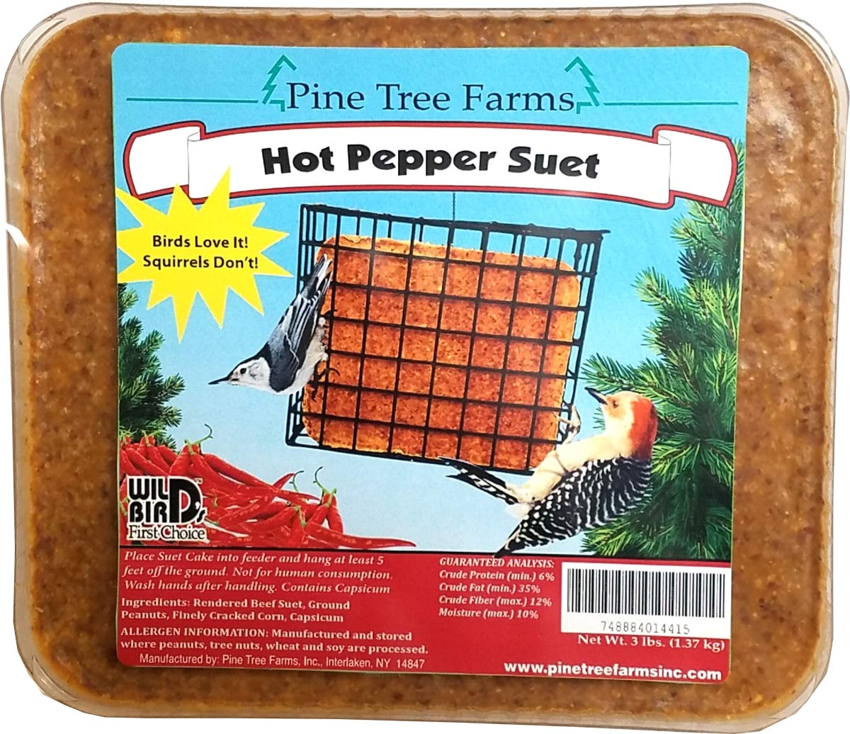 Pine Tree Farms hot pepper suet cake attracts colorful songbirds at a backyard feeder