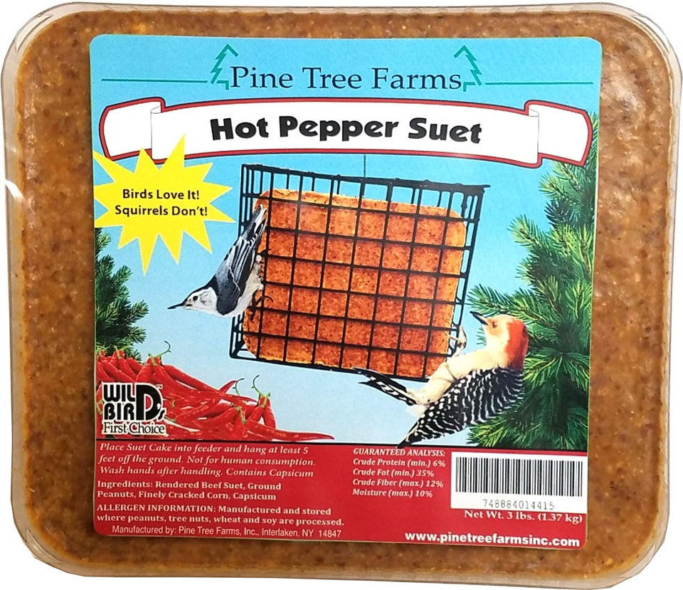 Pine Tree Farms hot pepper suet cake attracts colorful songbirds at a backyard feeder