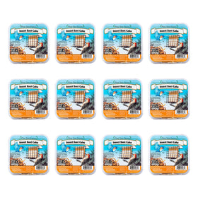 Pine Tree Farms insect suet cakes front view for year-round backyard feeding