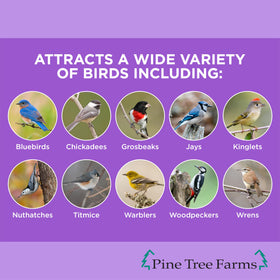 Pine Tree Farms Never Melt Berry Suet Cakes in a feeder offering mess-free bird feeding.