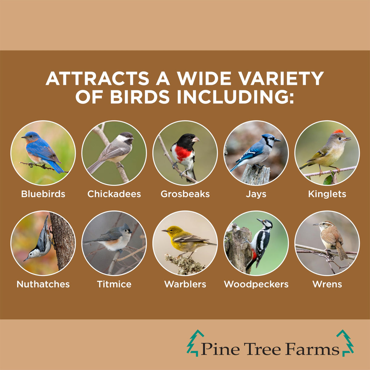 Pine Tree Farms peanut-loaded suet cake attracts multiple bird species at feeders