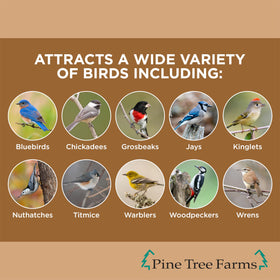 Pine Tree Farms peanut-loaded suet cake attracts multiple bird species at feeders