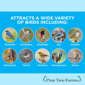 Pine Tree Farms Never Melt Suet Cake berry flavor in outdoor setup attracting birds.