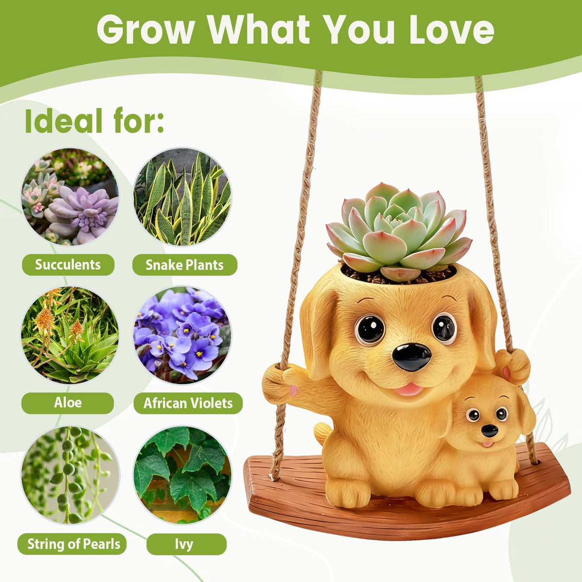 Pinkoriart indoor succulent holder keeps small plants thriving.