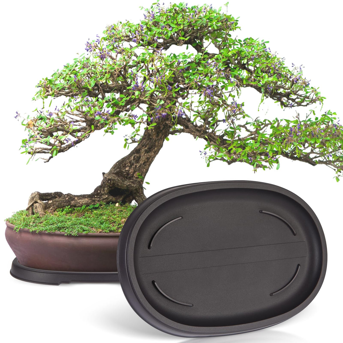 Pinkunn bonsai humidity tray with outer dimensions 12.7 x 8.3 inches for flexible pot placement.
