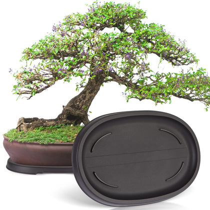 Pinkunn bonsai humidity tray with outer dimensions 12.7 x 8.3 inches for flexible pot placement.