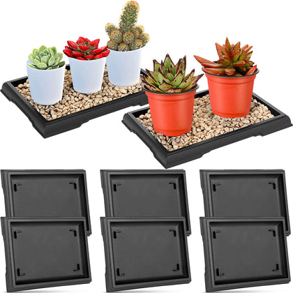 Pinkunn Bonsai Humidity Tray top view shows ample space for multiple plants