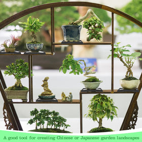 Pinkunn Bonsai Humidity Tray with pots demonstrates practical plant care and protection
