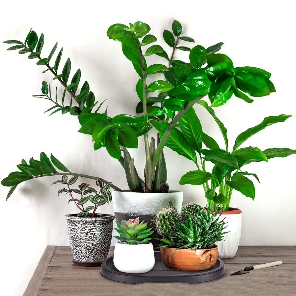 Pinkunn two-pack bonsai trays protect furniture by catching runoff.