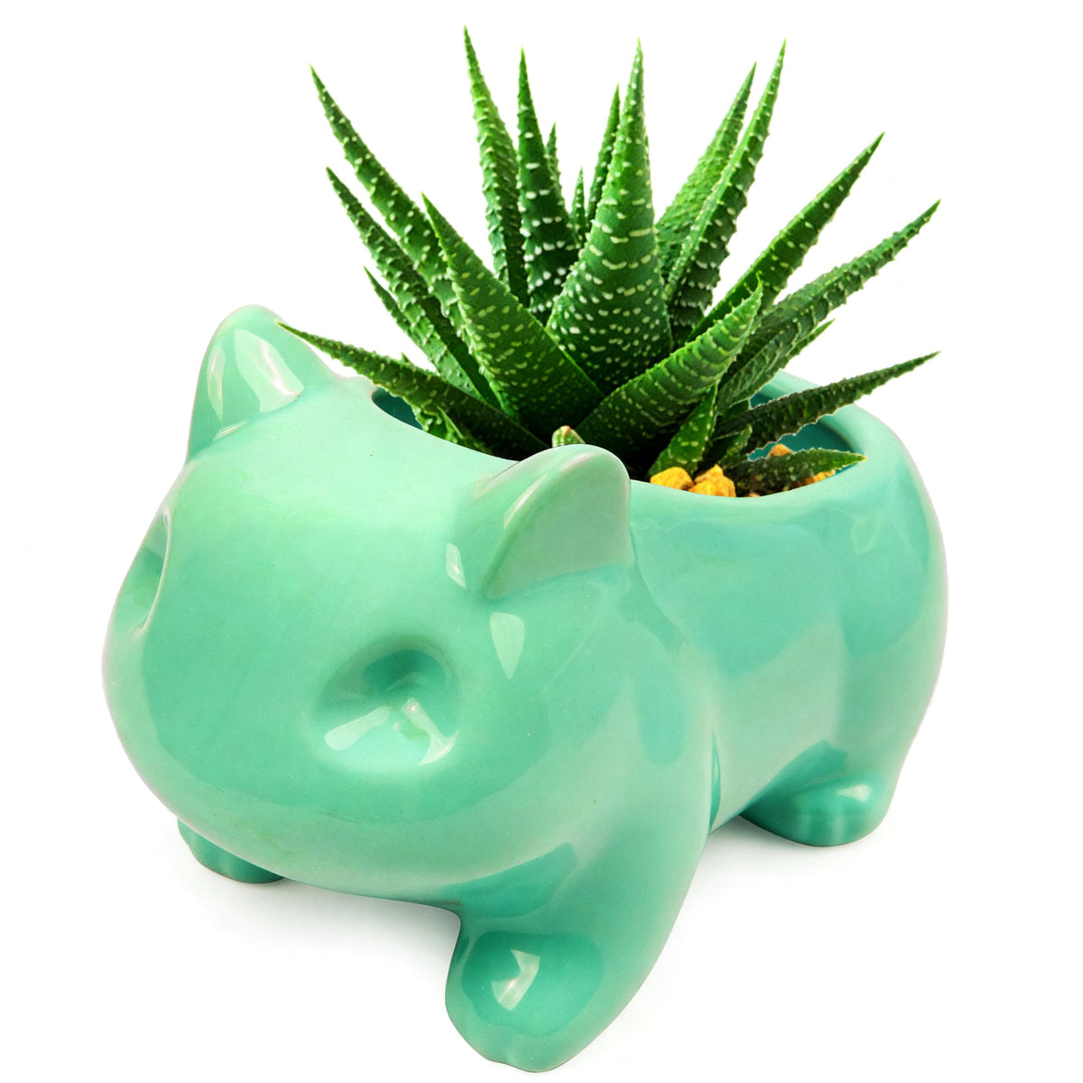Pinsjar animal-shaped green flowerpot with a drainage hole for easy plant care