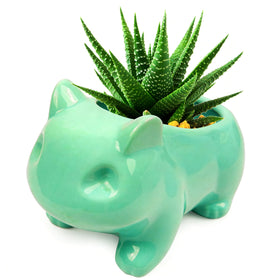 Pinsjar animal-shaped green flowerpot with a drainage hole for easy plant care
