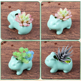 Pinsjar gift-ready packaging suitable for holidays and special occasions