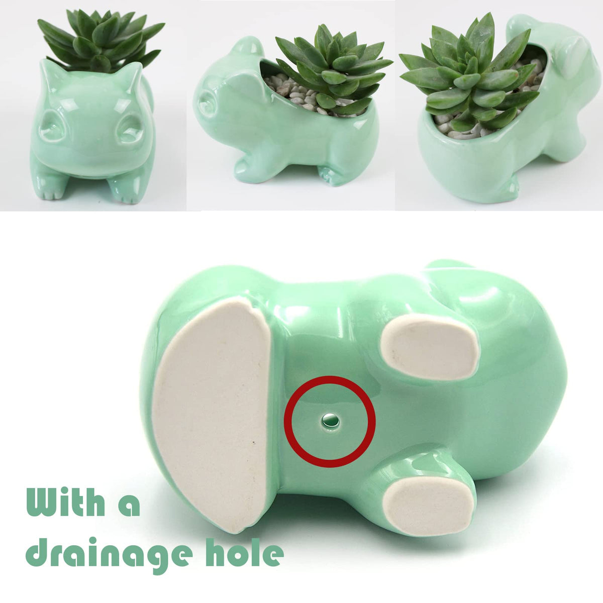 Pinsjar small indoor planter perfect for desk or shelf decor