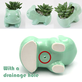 Pinsjar small indoor planter perfect for desk or shelf decor