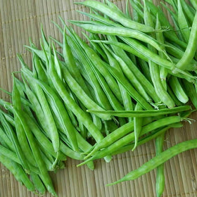 PIPA PAPA terrace garden setup shows ideal containers and space-saving growing.