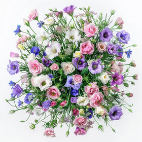 PIPA PAPA mixed lisianthus seeds pack front view for easy start to a summer border.