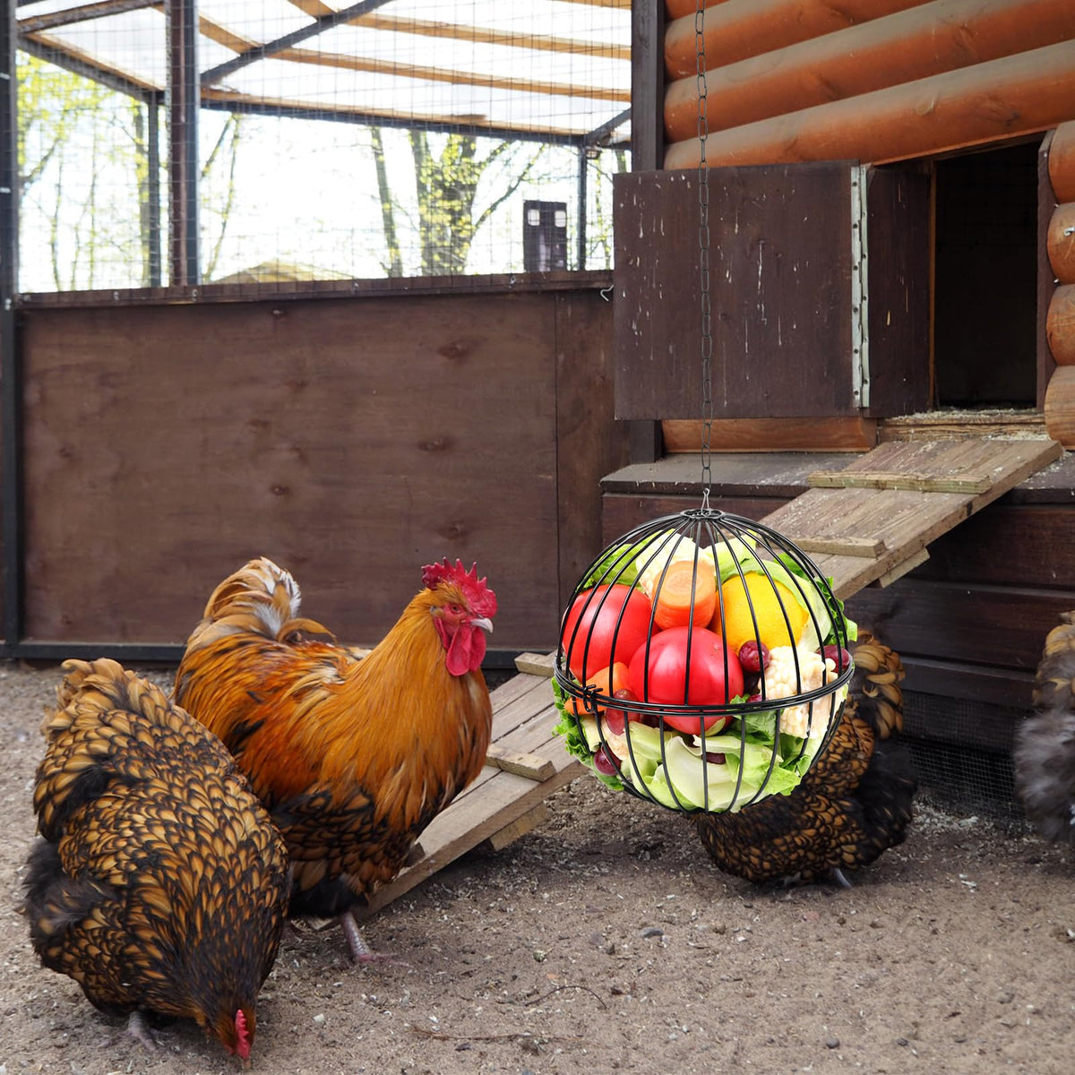 PIREKZUNT treat ball option adds enrichment and variety for the flock.
