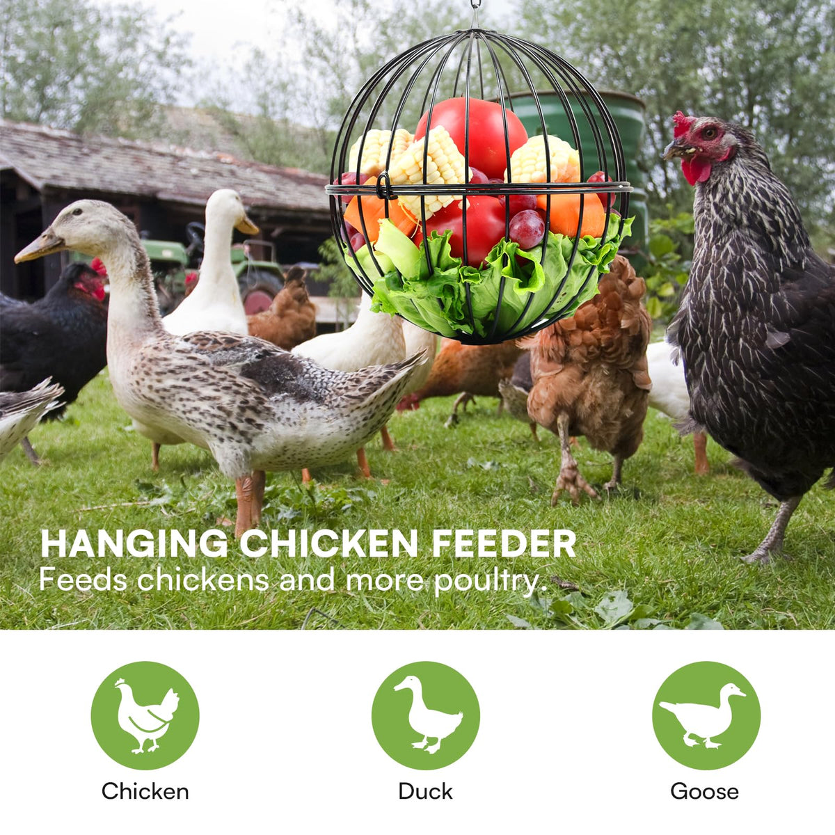 PIREKZUNT safe, burr-free surface ensures comfortable feeding for chickens.