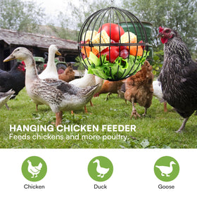 PIREKZUNT safe, burr-free surface ensures comfortable feeding for chickens.