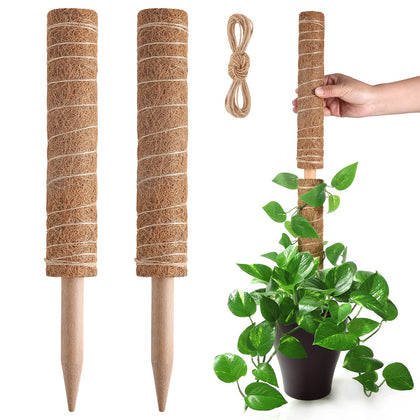 Pisol moss pole for monstera extendable supports vertical growth.